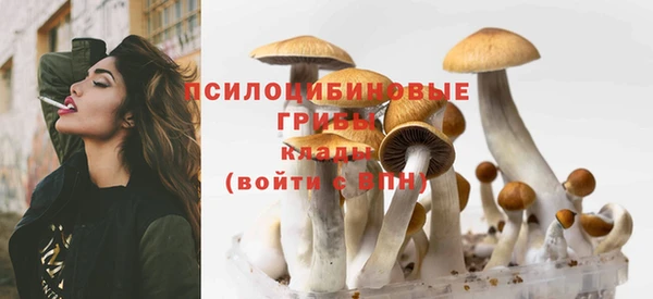 твердый Алексеевка