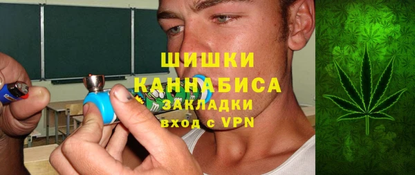 хмурый Алексин