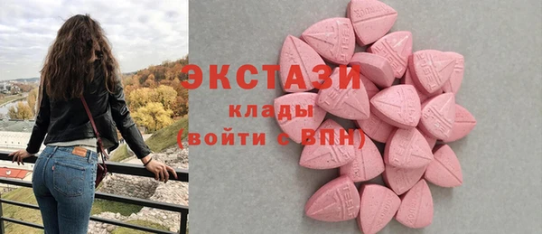 хмурый Алексин