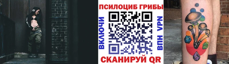 Псилоцибиновые грибы Psilocybine cubensis  как найти наркотики  Димитровград 