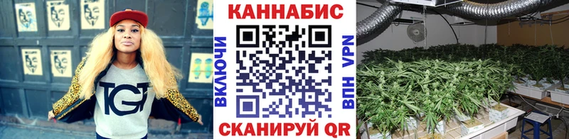 Бошки марихуана тримм  Димитровград 